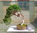 FB_IMG_1751829837694